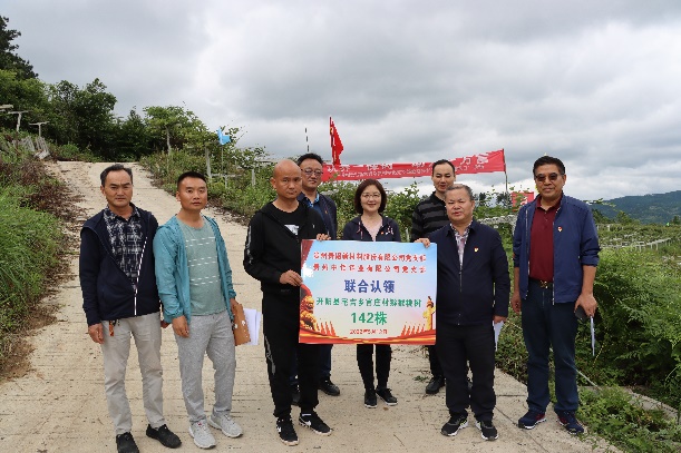 CMD368��������